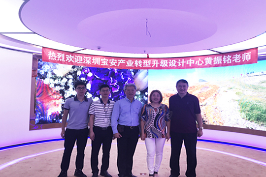 创意驱动产业升级，熊猫体育加速崛起